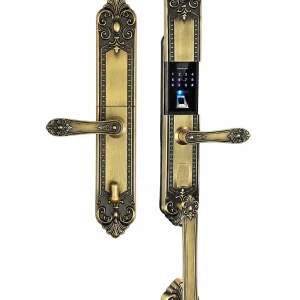 Khóa Đại Sảnh KASSLER KL-979 GR – Vân Tay, Mã Số, Thẻ Từ, App WiFi